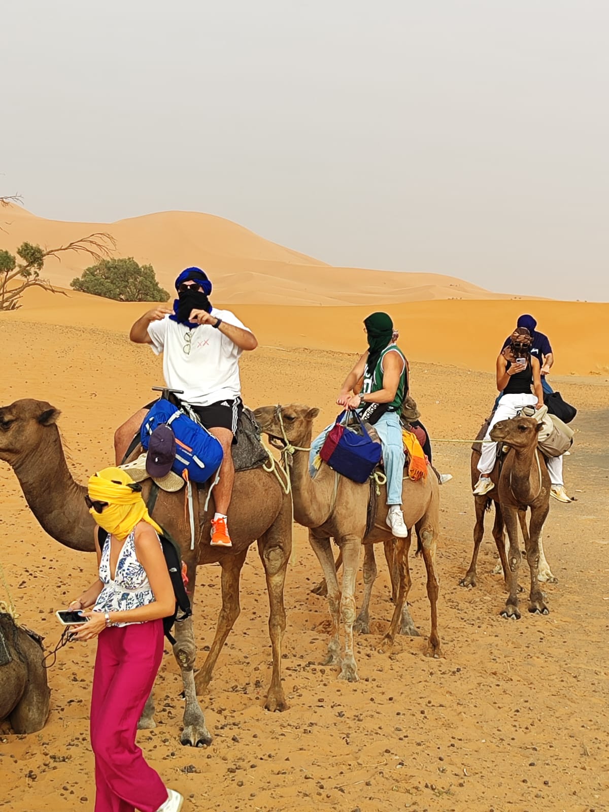 Tour en grupo de 3 días desde Marrakech a Fez
