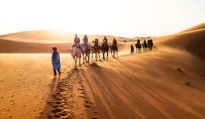 3 días excursión en grupo de Fez a Marrakech