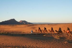 Tour compartido de 2 días al desierto de Zagora
