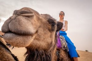 Contacto Descubre Desierto Viajes