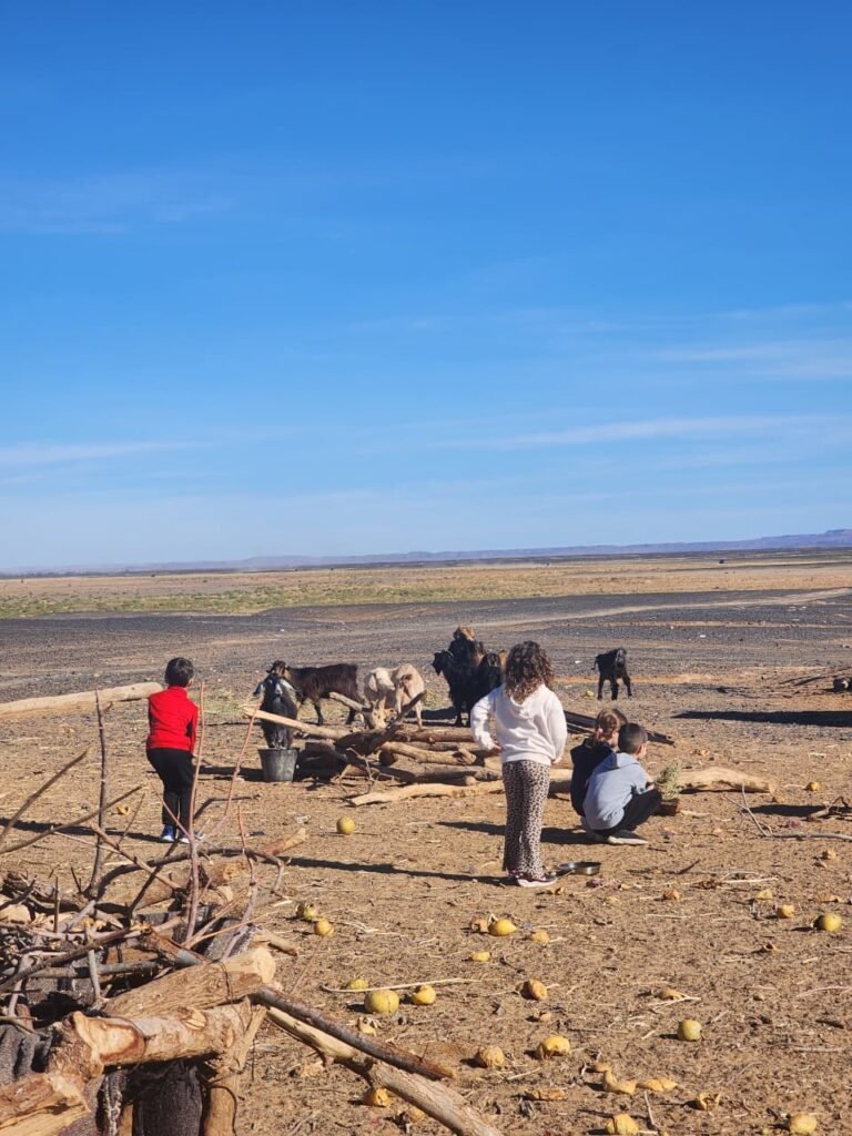 Ruta en 4x4 por el desierto