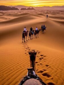 Paseo en dromedario al atardecer y amanecer en el desierto
