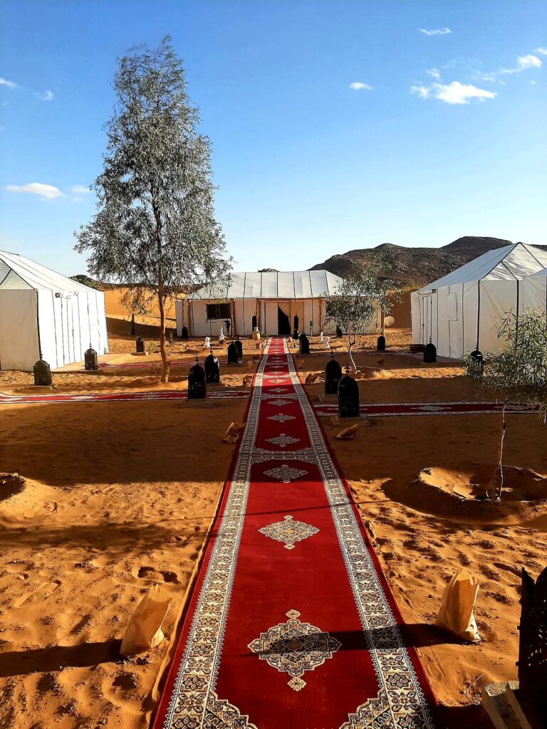 Noche en campamento en el desierto